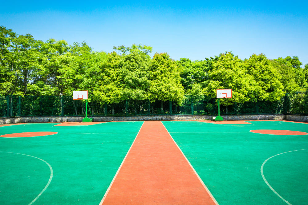Sports & Play Area